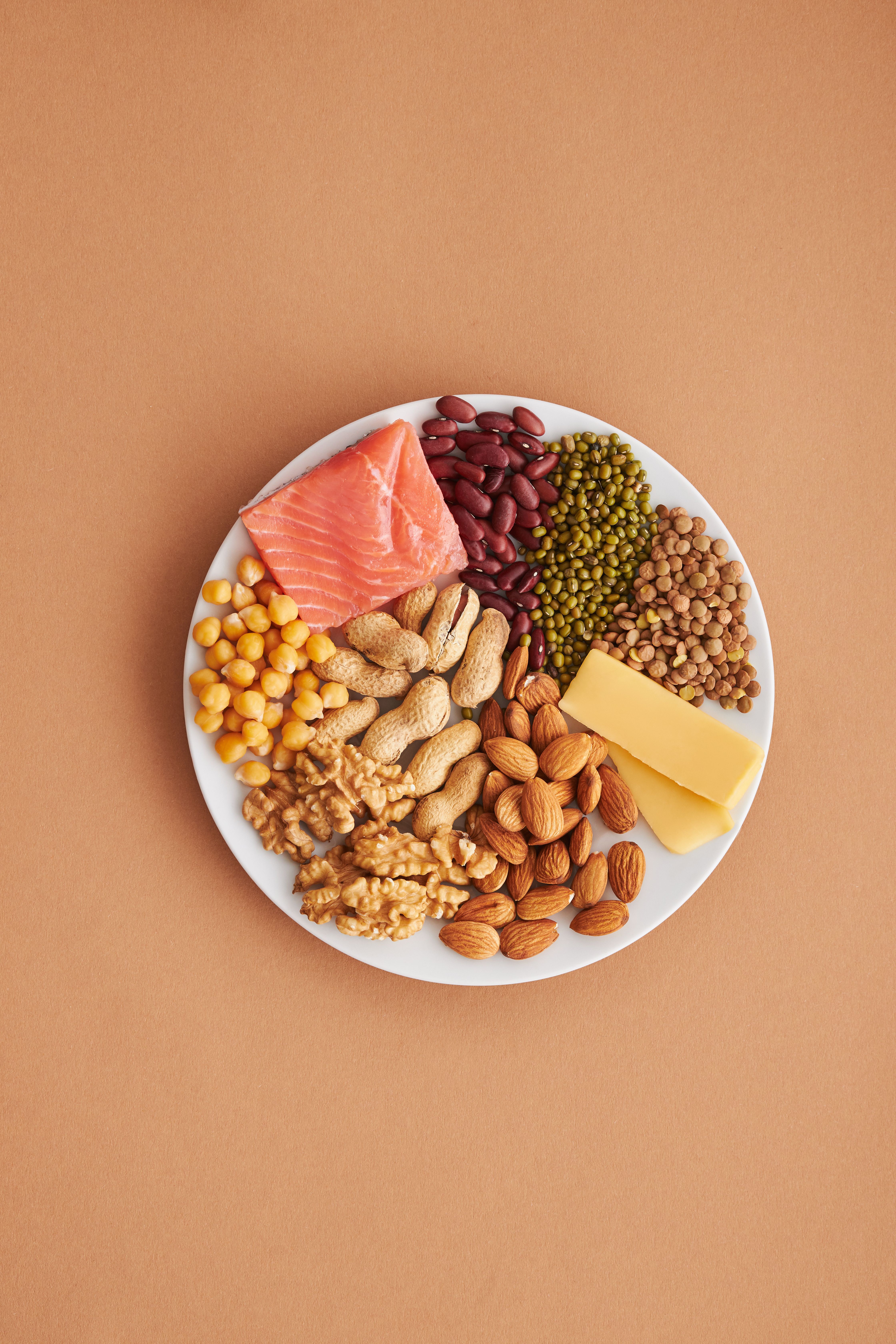 Protein ingredients for food industry